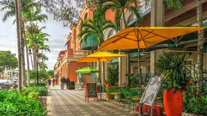 Une rue bordée de palmiers, avec des terrasses extérieures ombragées par des parasols.