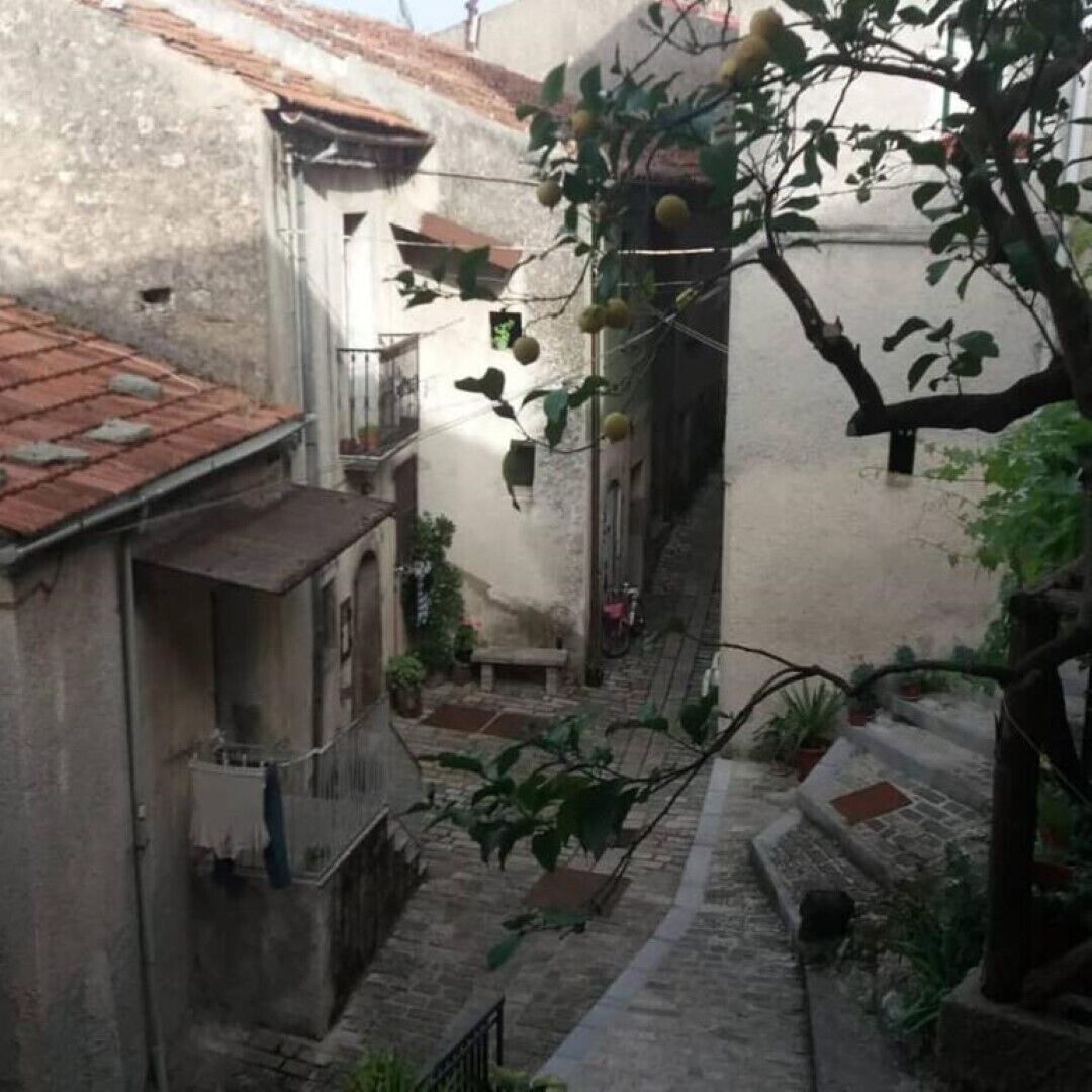 A narrow alleyway with buildings on either side, a tree with hanging fruits, and a small bench.