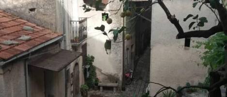 A narrow alleyway with buildings on either side, a tree with hanging fruits, and a small bench.