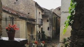 Une ruelle étroite pavée de pierres, bordée de bâtiments en pierre, avec des plantes en pot et une chaise en métal.