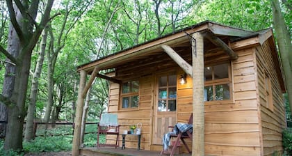 Cedar Lodge