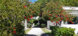 Stroll through lush gardens to a charming traditional building with a serene entrance.