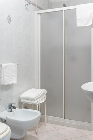 Ducha, cabezal de ducha tipo lluvia, secador de pelo, bidet