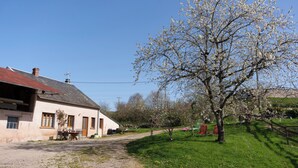 Une maison avec une allée en gravier, une pelouse et un arbre aux fleurs blanches.