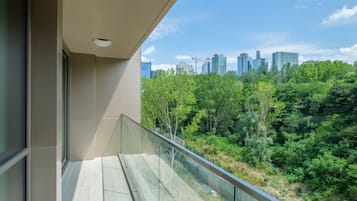 Deluxe Apartment | View from room