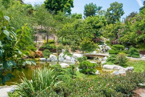 Un jardín tranquilo con un estanque, rocas y diversas plantas.