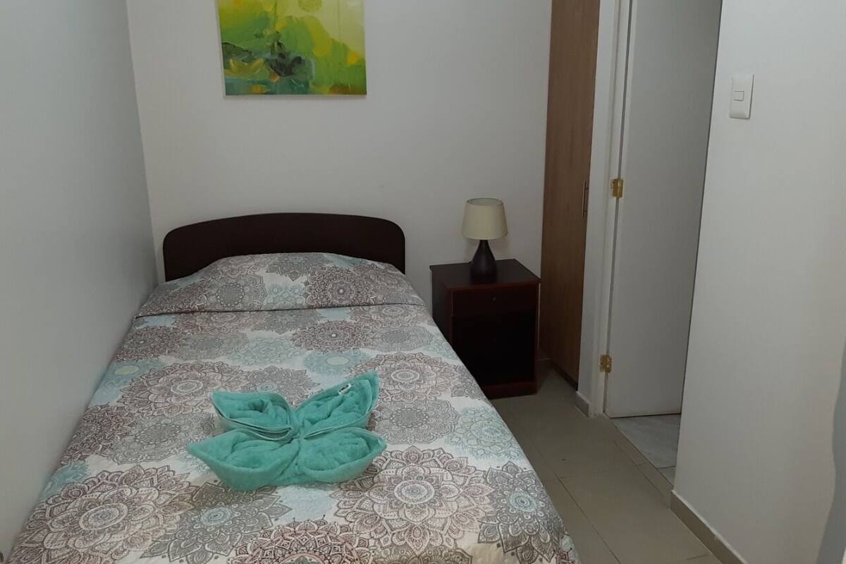 Habitación individual ejecutiva | Wifi gratis