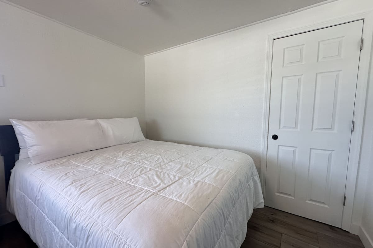 A bedroom with a bed, a door, and a ceiling light.