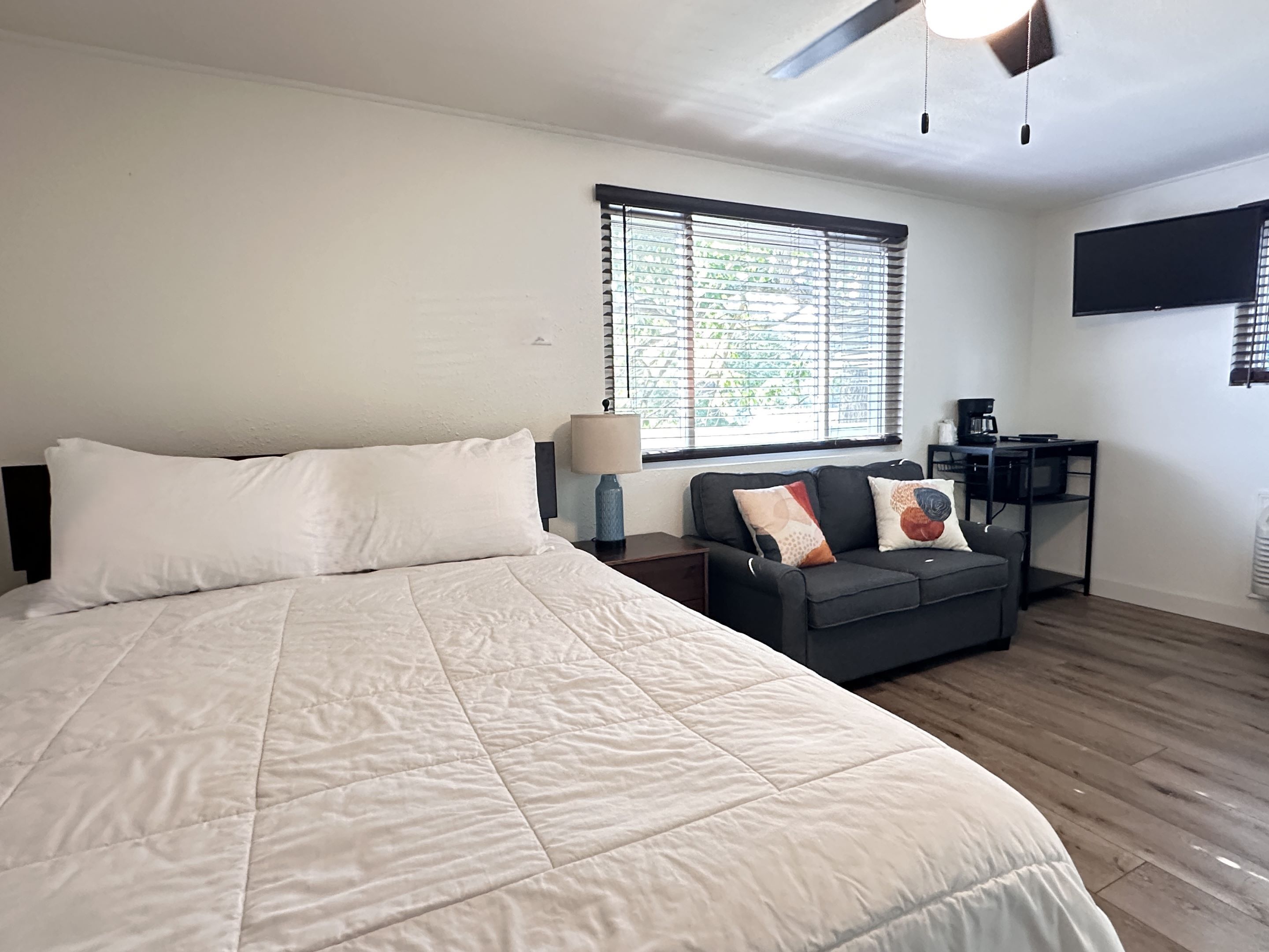 Standard Single Room, 1 Queen Bed with Sofa bed, Refrigerator & Microwave