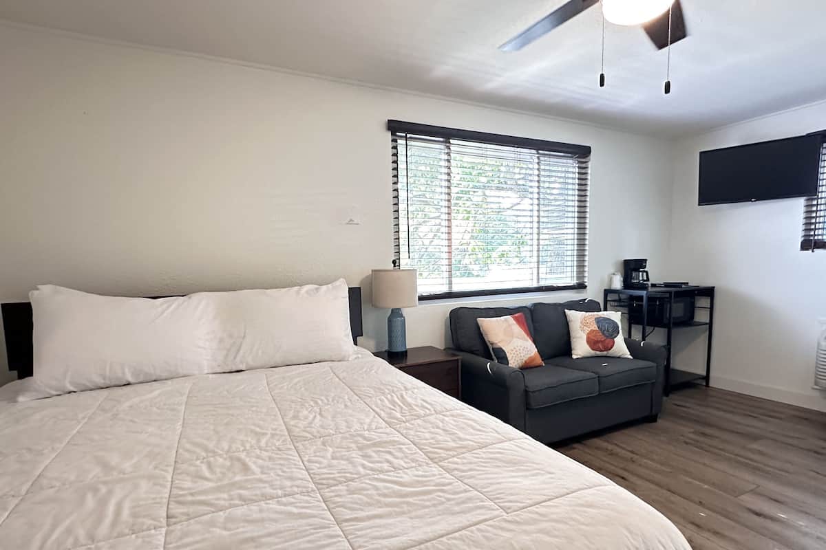 A bedroom with a large bed, a small sofa, a desk with a computer, and a TV on the wall.