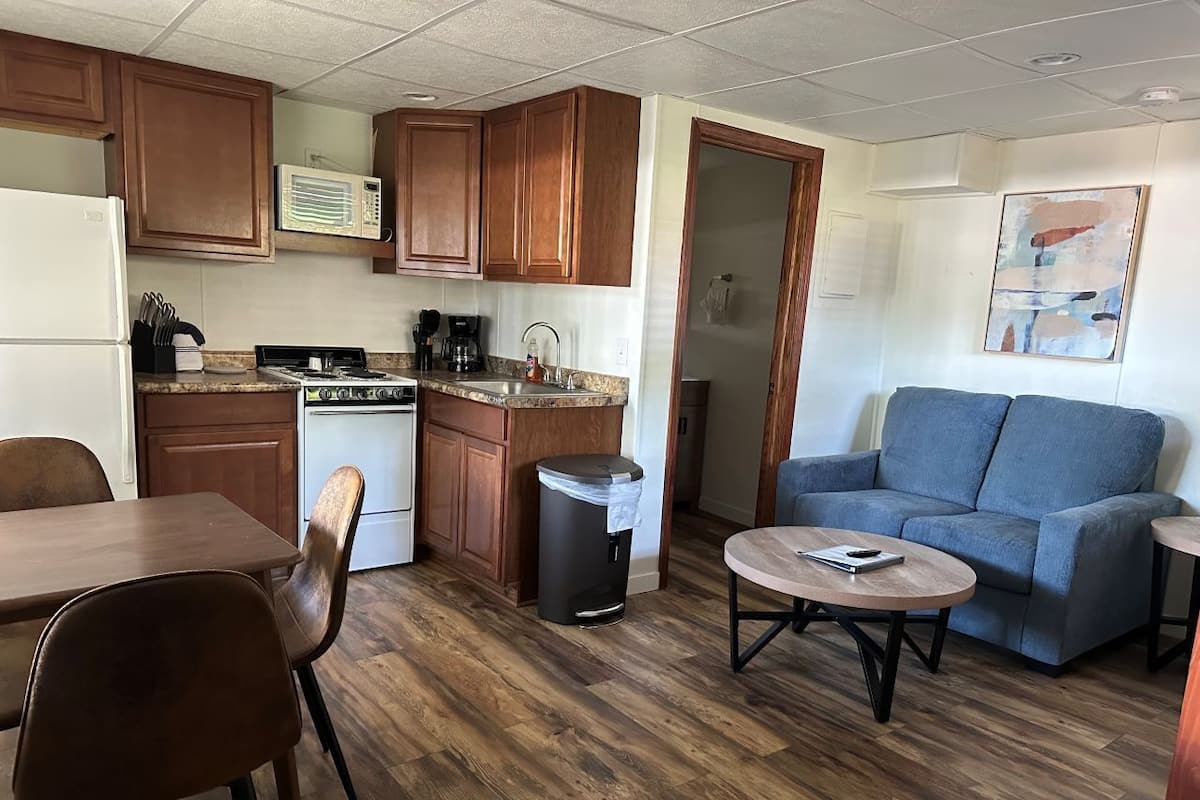 A compact living space with a kitchenette, a dining area, and a seating area with a couch and coffee table.