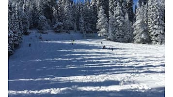 Snow and ski sports