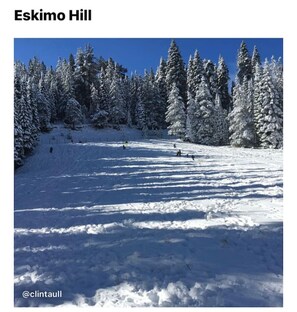 Snow and ski sports - Chic Getaway Downtown Hub Luxe Linens Near Transit (Redding)