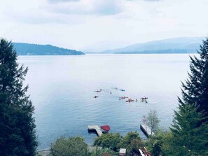 Unclassified image, 5 of 47, button