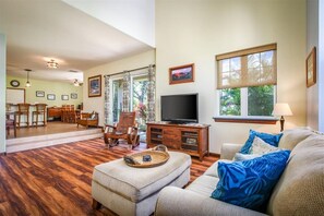 Smart TV, DVD player, books, video library