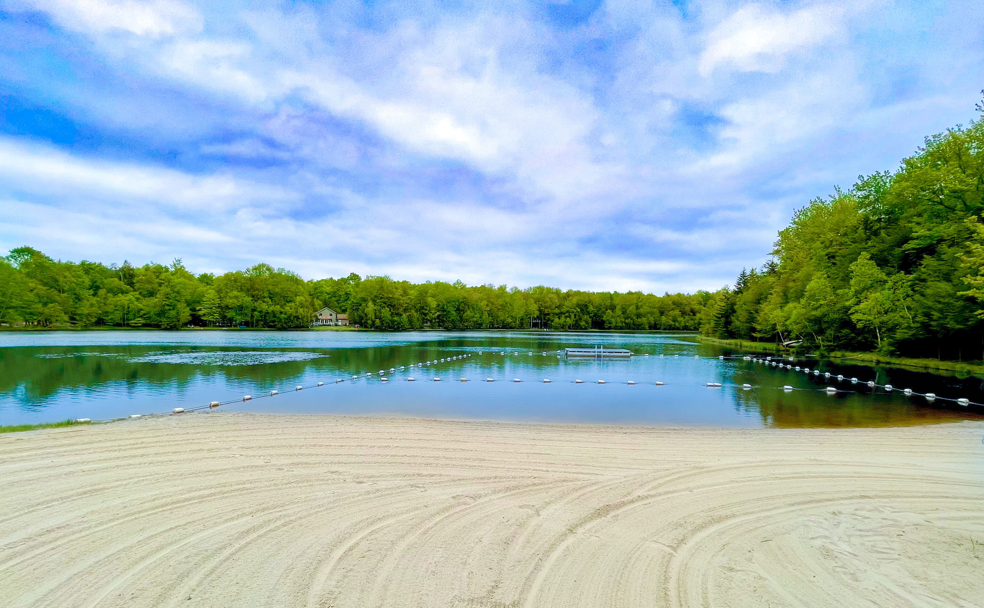 A lake with a sandy beach and a row of swans.