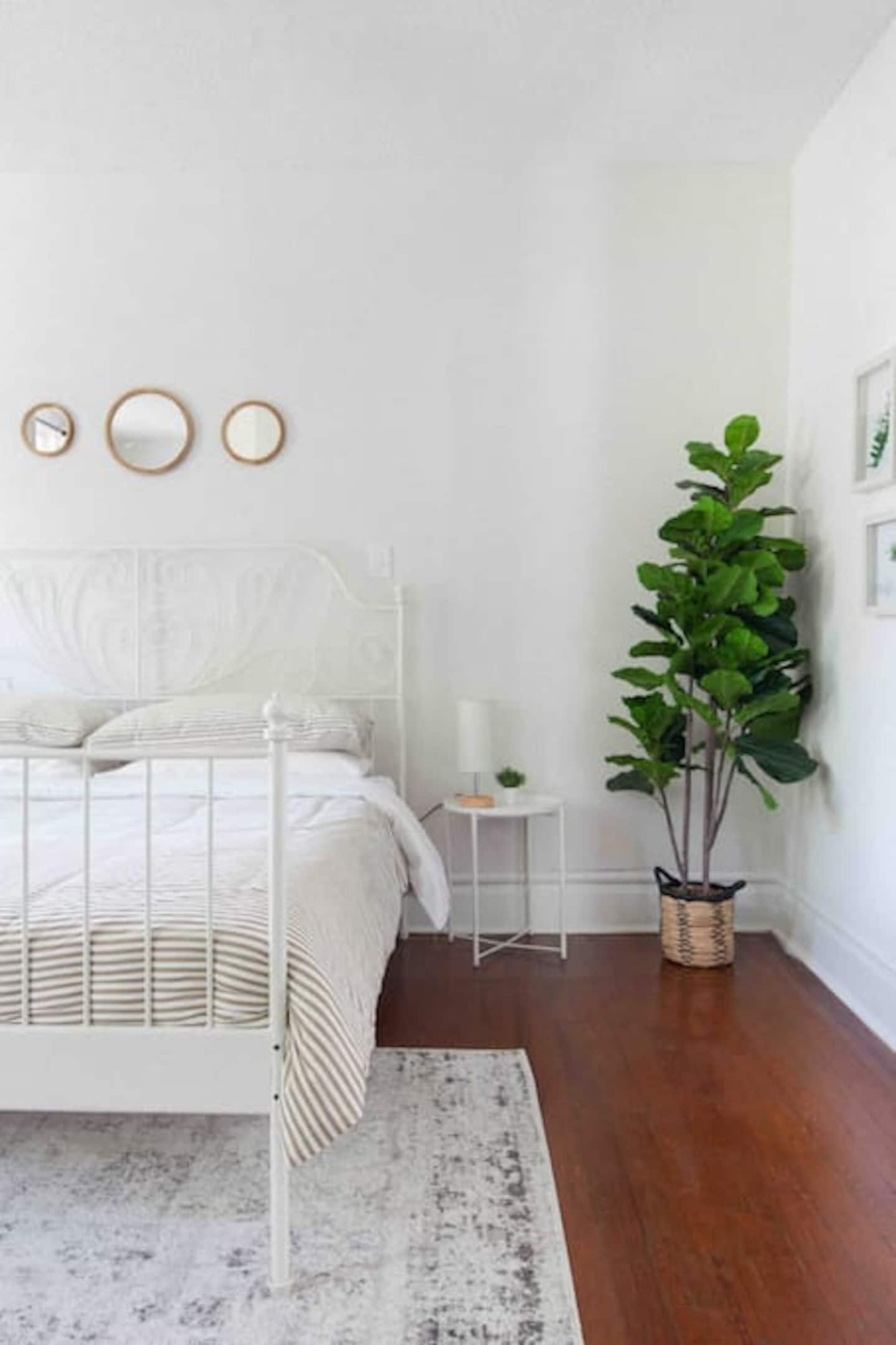 Come feel the comfort of these beds