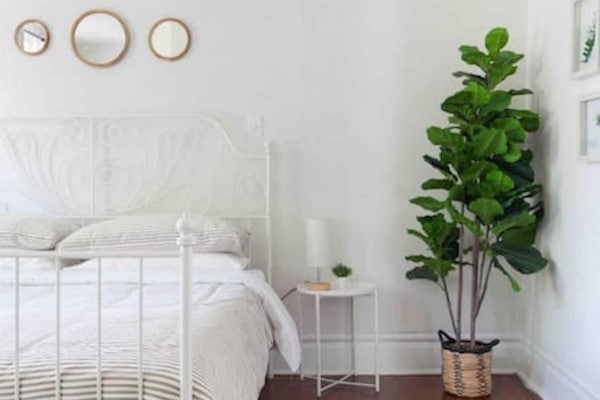 Come feel the comfort of these beds