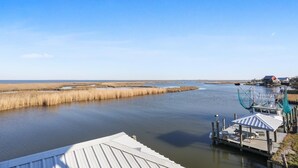 A riverside view with a dock and a small building with a red roof. - Black Dog Lodge & Fishing Charter- Waterfront! (New Orleans)