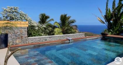 Villa Aïna**** - Swimming pool - Sea view - Saint Leu