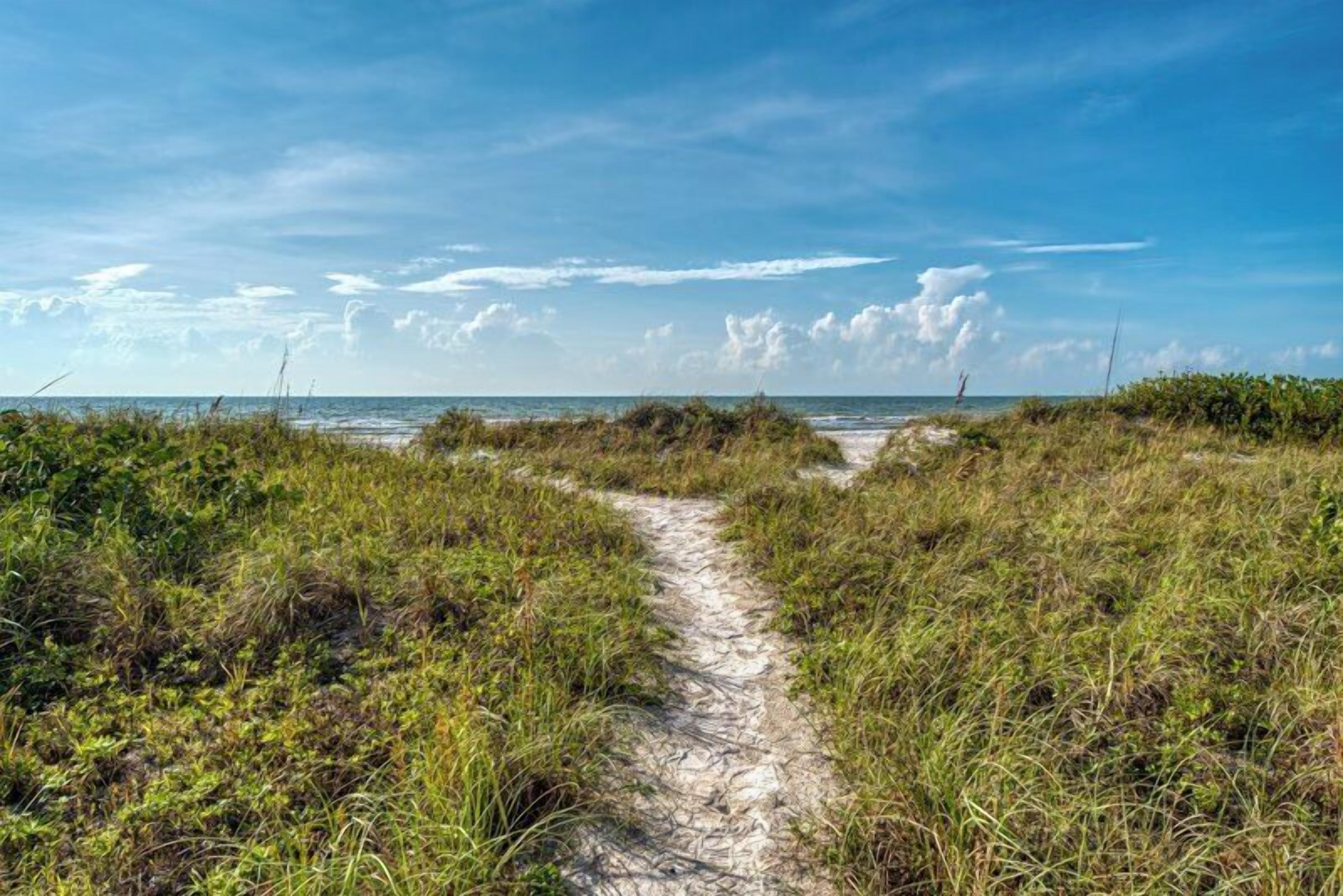 Beach
