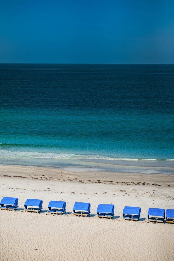 Ein Strand mit Reihen blauer Liegen und freiem Blick auf den Ozean.