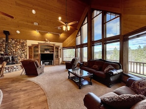 Smart TV, fireplace, video games, DVD player