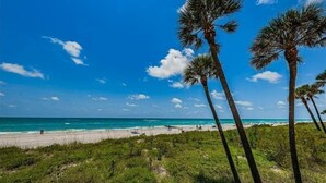 A beach with palm trees and a clear blue sky. - Tropical Oasis Directly on the Gulf!~  OS608 (Madeira Beach)