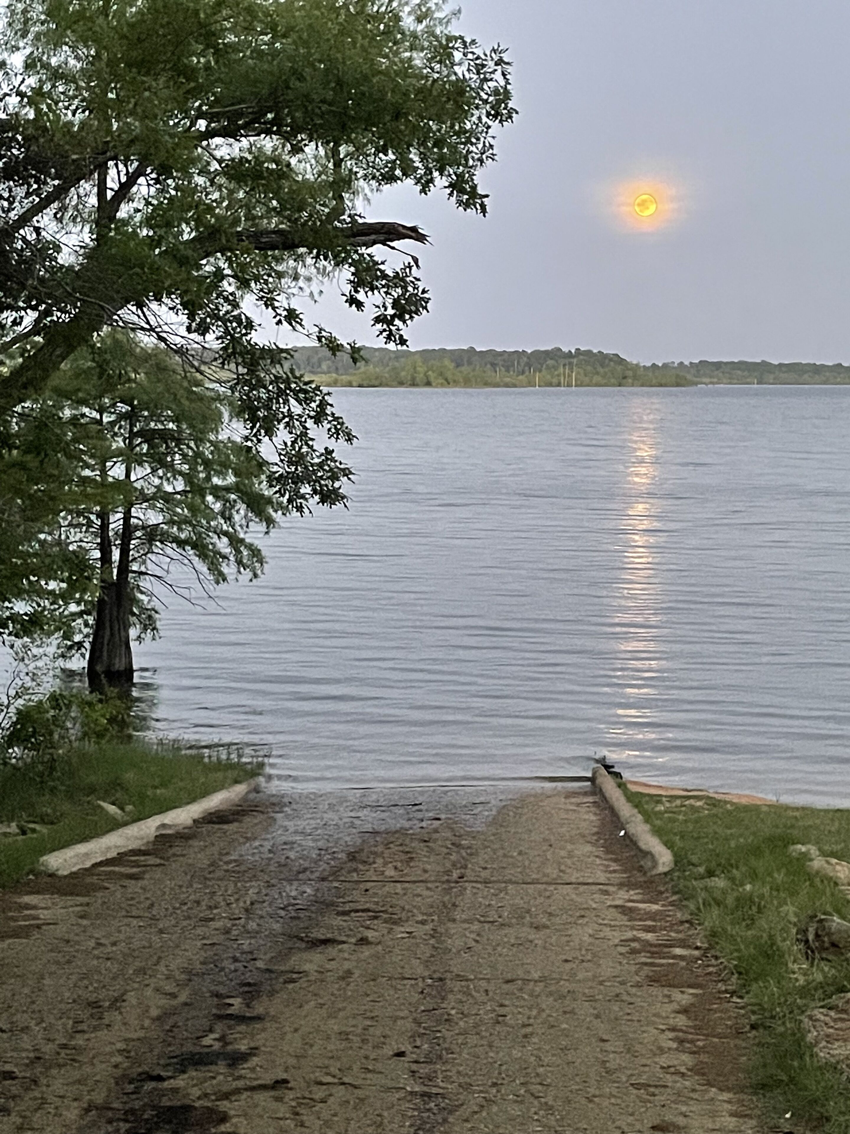 A pathway leading to a body of water with a tree on the left and a distant shoreline.