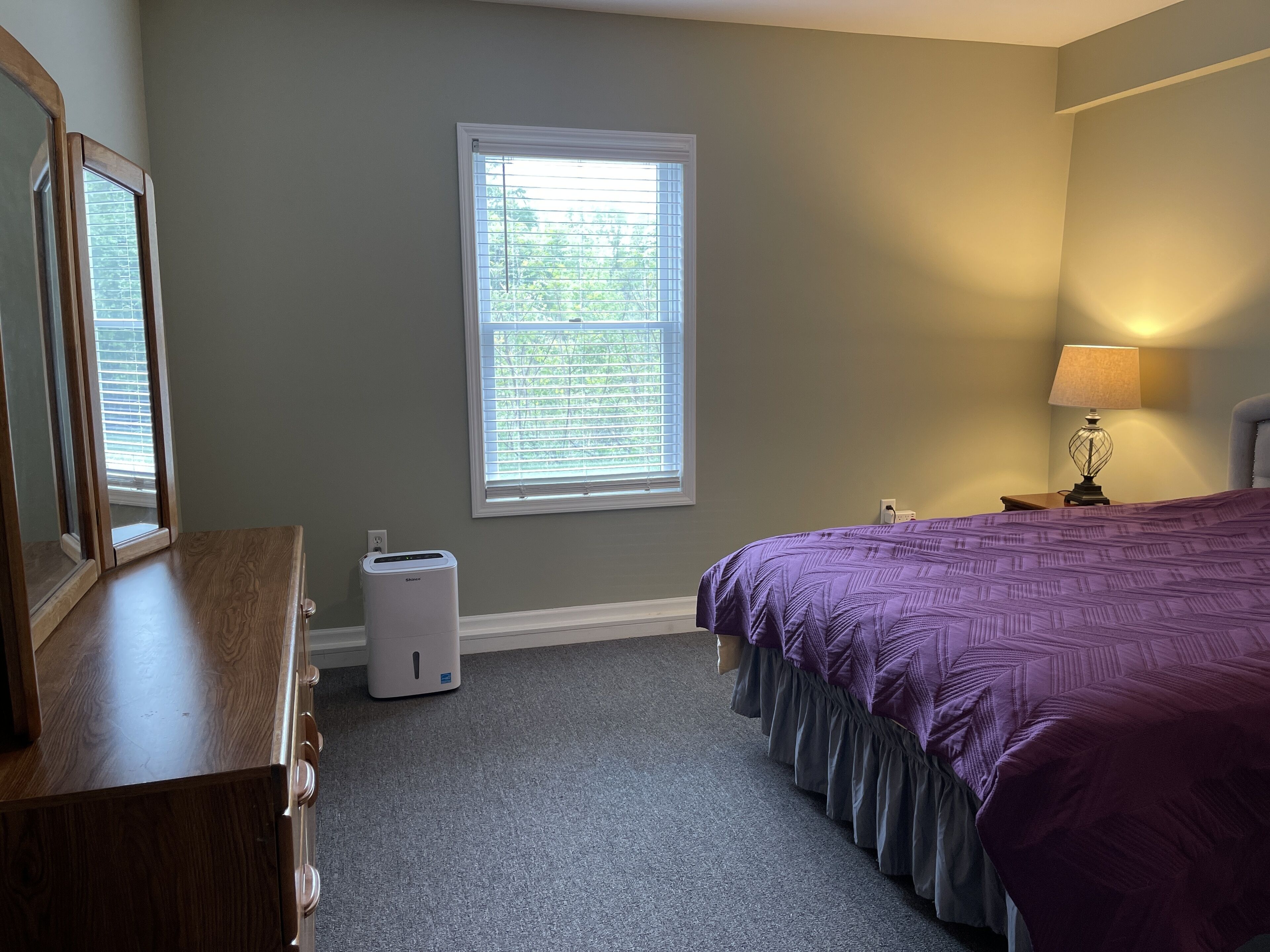 A bedroom with a bed, dresser, window, and heater.