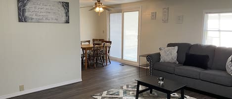 Smart TV, fireplace, books