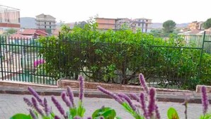 A window with potted plants and a view of a green fence and buildings in the background.