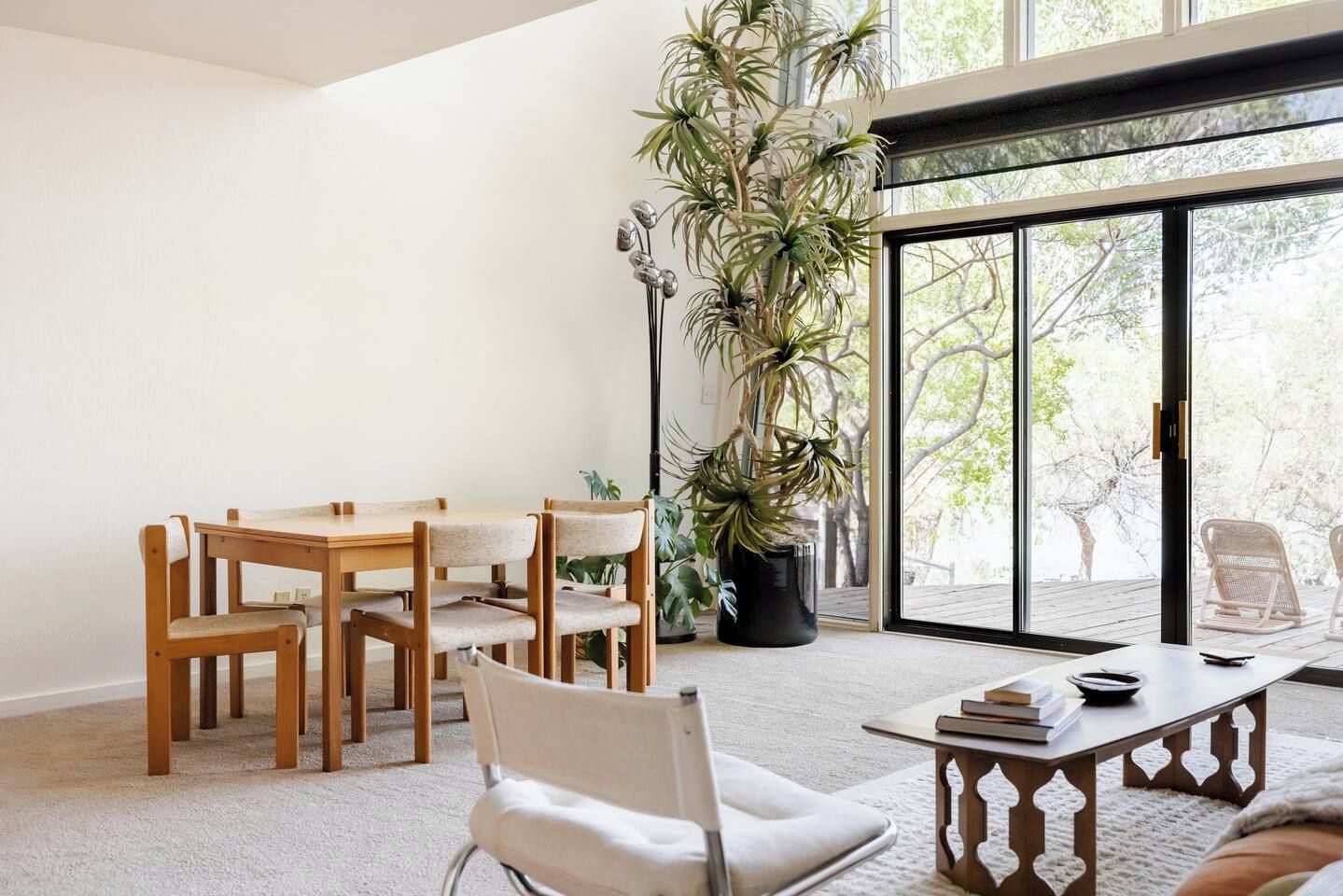 A modern living room with a wooden dining table, chairs, a large potted plant, and a view through a glass door.