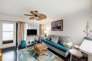 Televisión, reproductor de DVD, libros y videoteca 