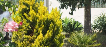 Villa with garden along the coast to Villasimius