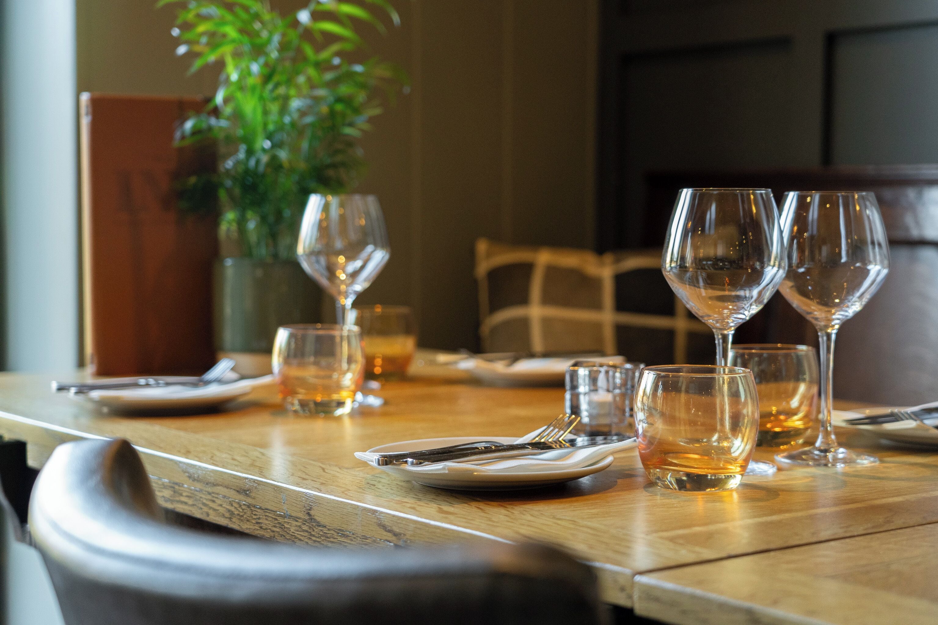 A dining table set with plates, cutlery, and glasses, with a plant in the background.