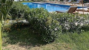 Zona de piscina con sillones de descanso y sombrillas, rodeada de vegetación y un cielo despejado.