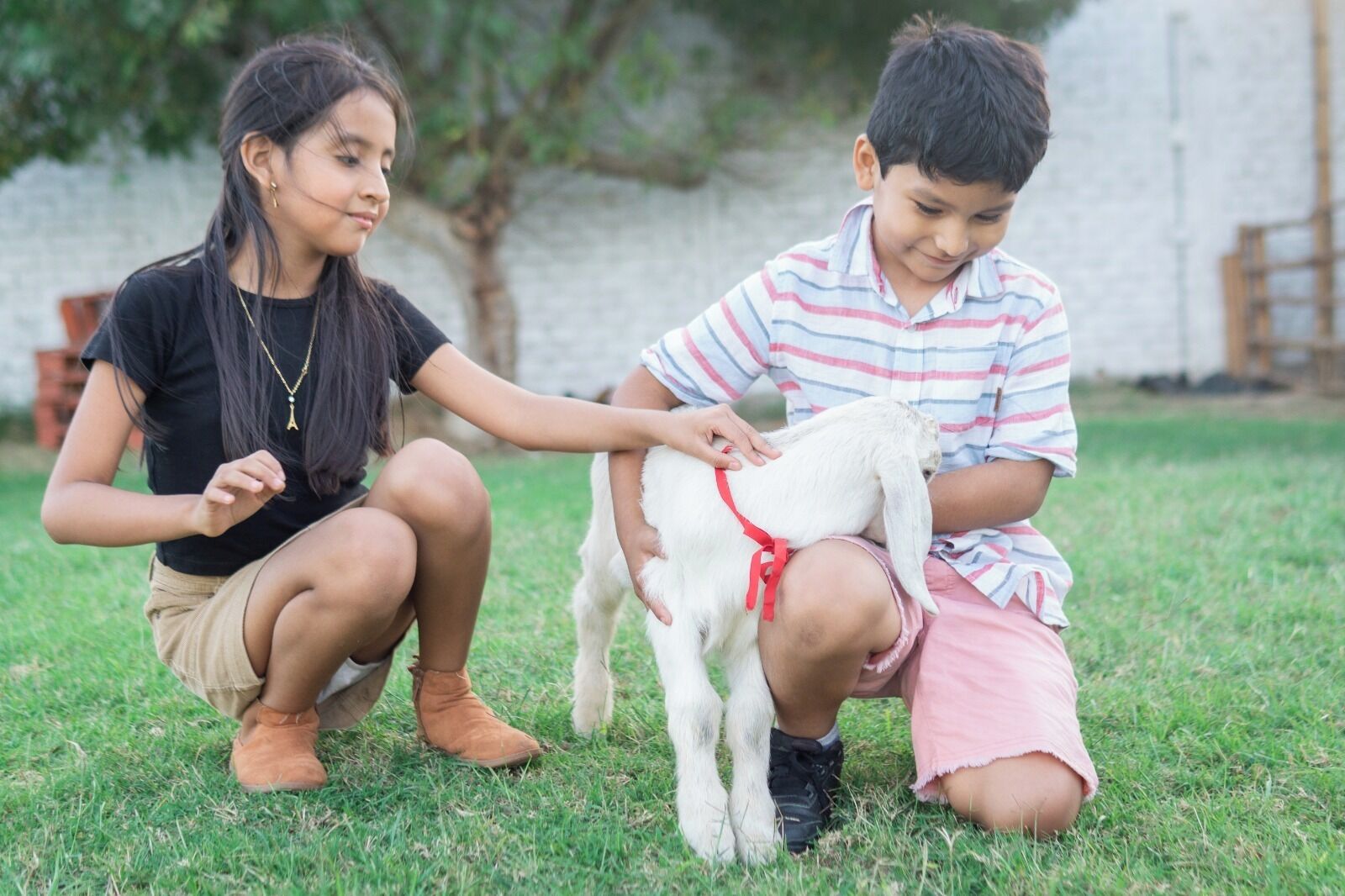 Two children sitting on grass, one holding a goat.