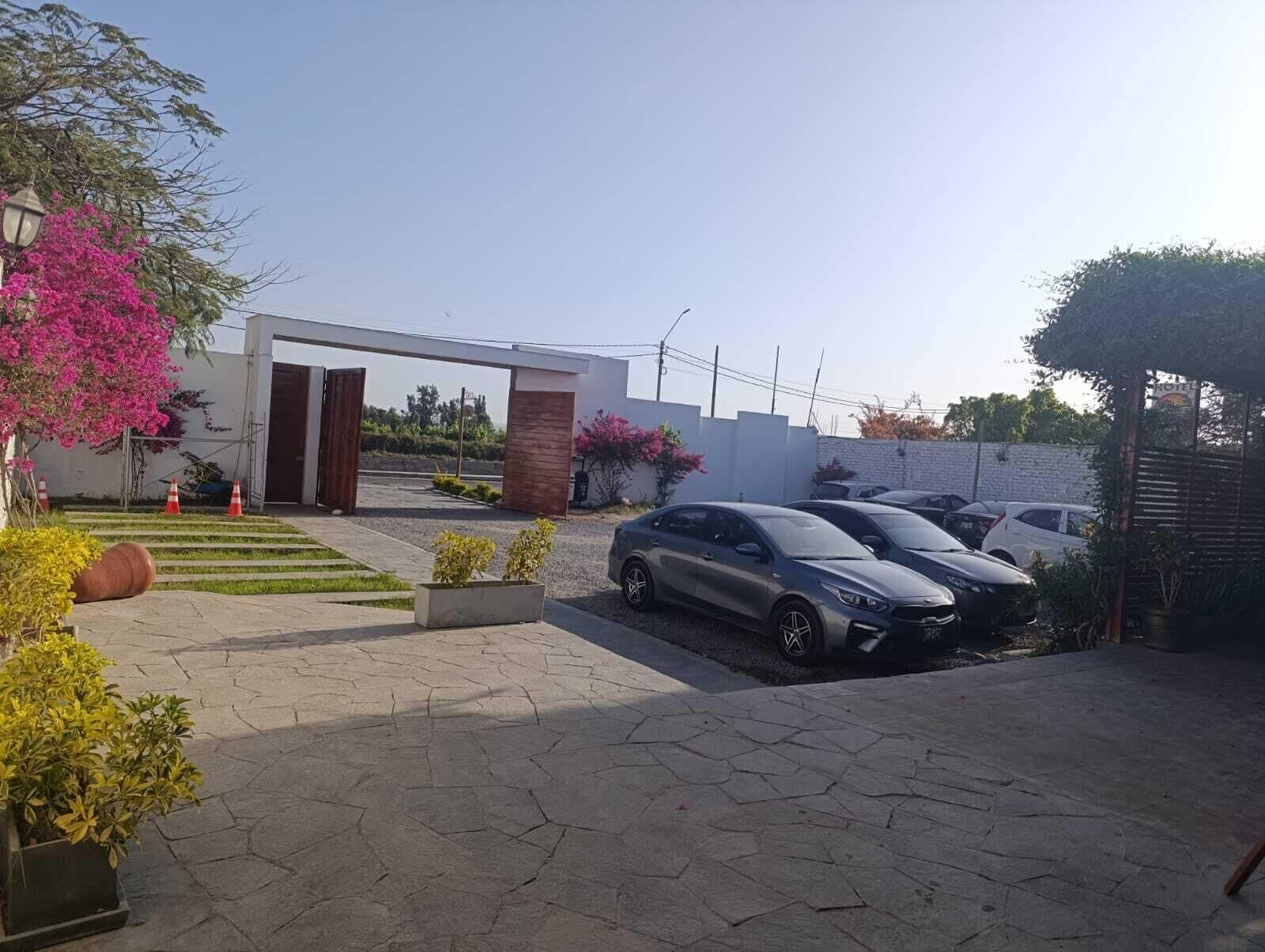 A parking area with several cars, a modern building entrance, and landscaped areas with plants.