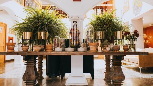 A lobby with a central table surrounded by potted plants and a decorative glass structure.