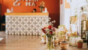 A reception desk with a patterned backdrop and a variety of potted plants and flowers on the counter.