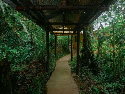 Birdwatchers House y Lodge