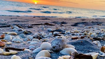 Ranta lähistöllä, aurinkotuoleja, rantapyyhkeitä