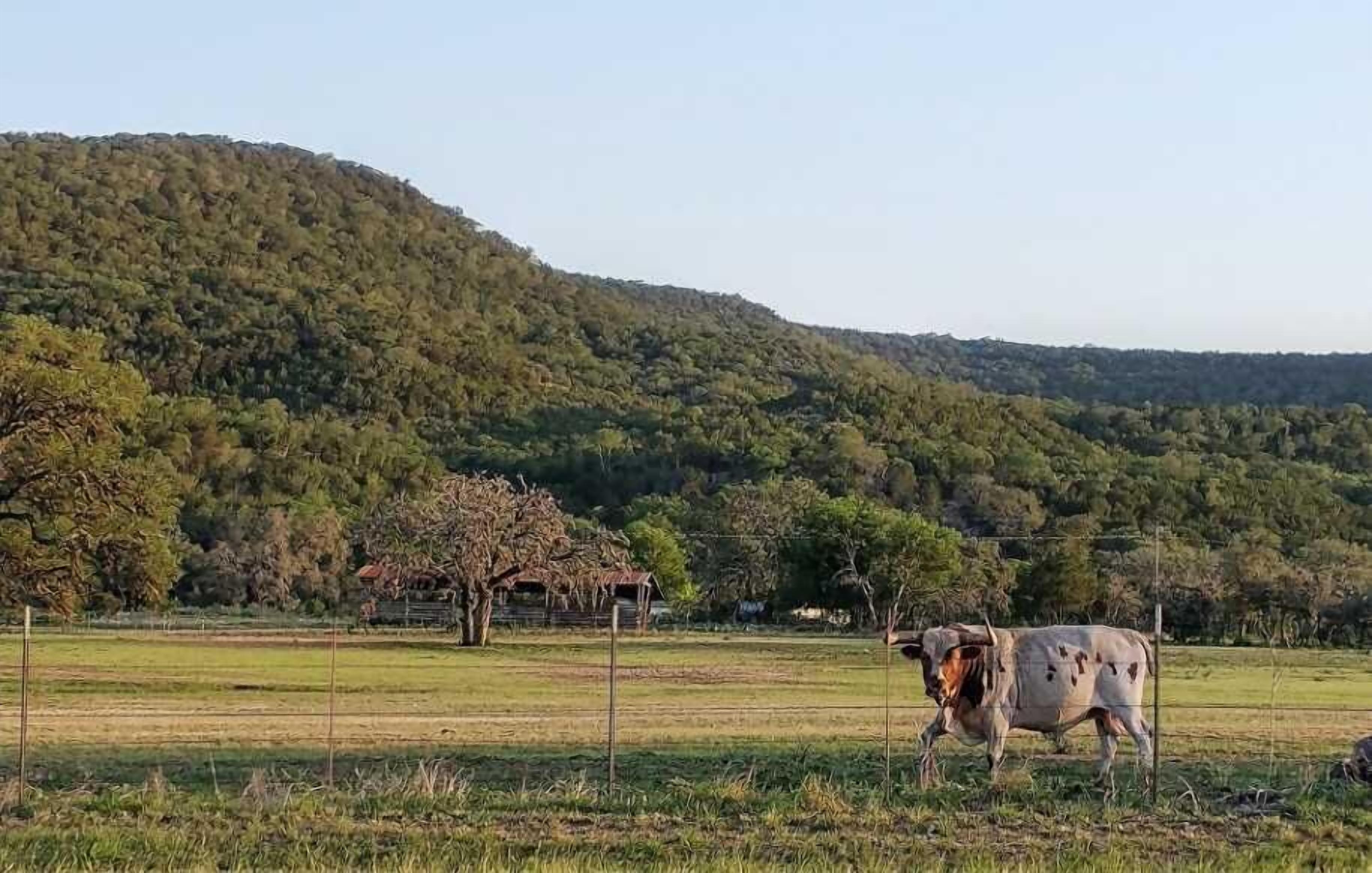 BlueBird Cottage in Tarpley