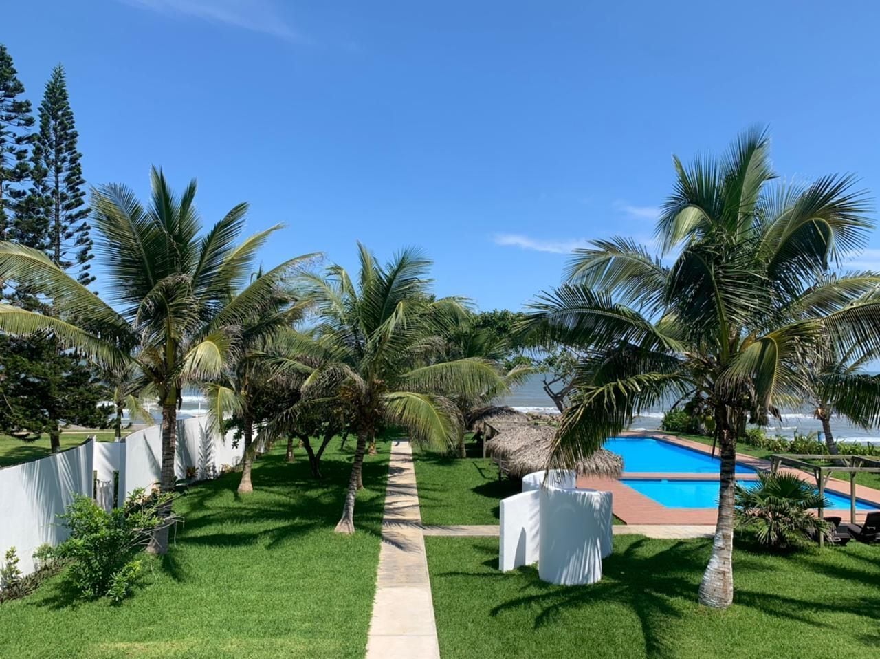A pool area with palm trees, a clear sky, and a view of the ocean.