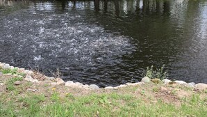 Een rustige rivier met een stenen muur en begroeide oevers.