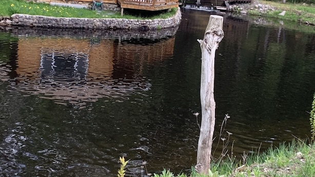 Een blokhut met een terras dat uitkijkt over een vijver.