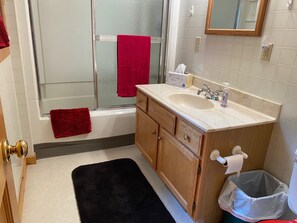 Tina con regadera, secadora de cabello, jabón 