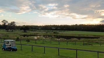 Área da propriedade