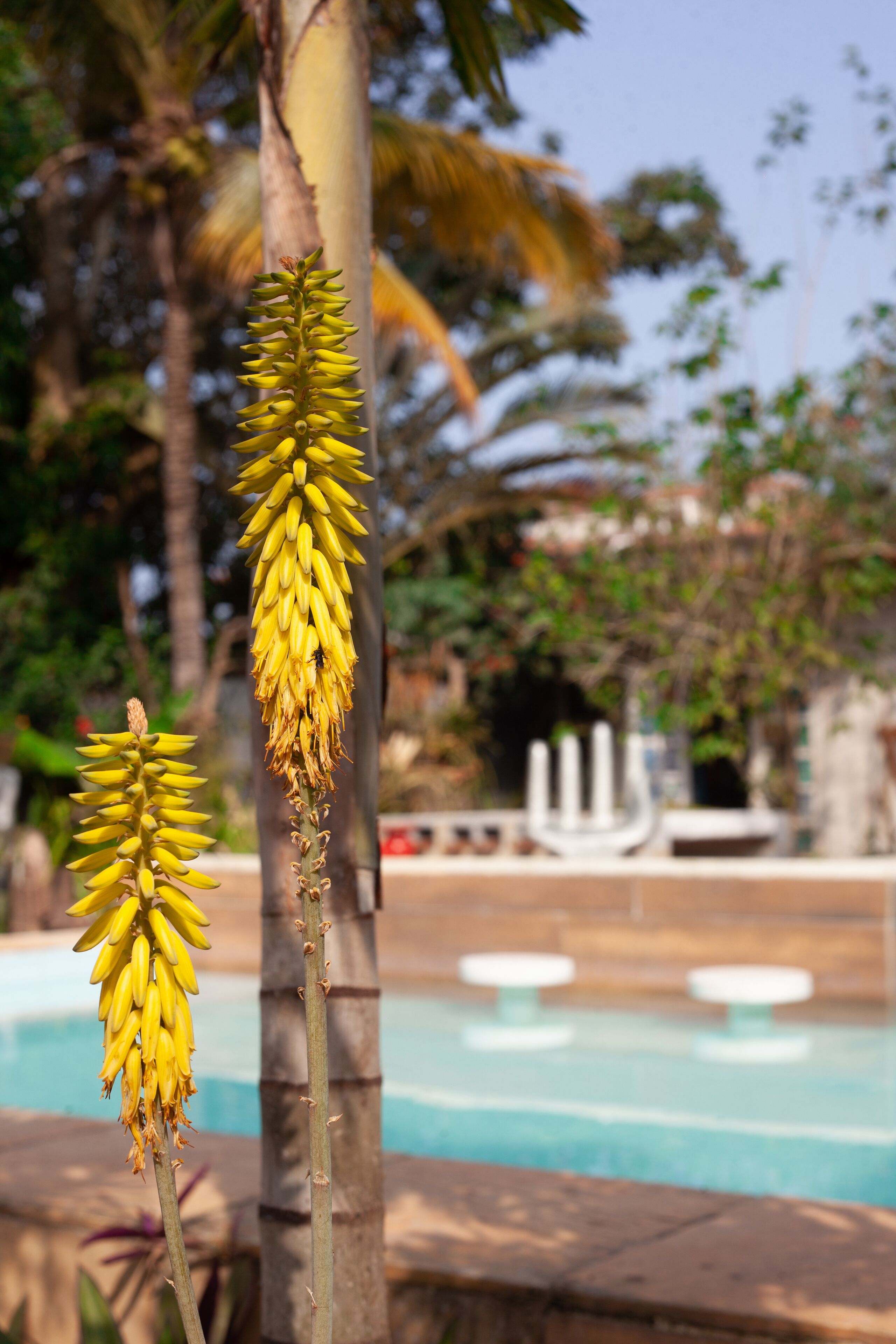 Foto - Jardim Secreto Guest House